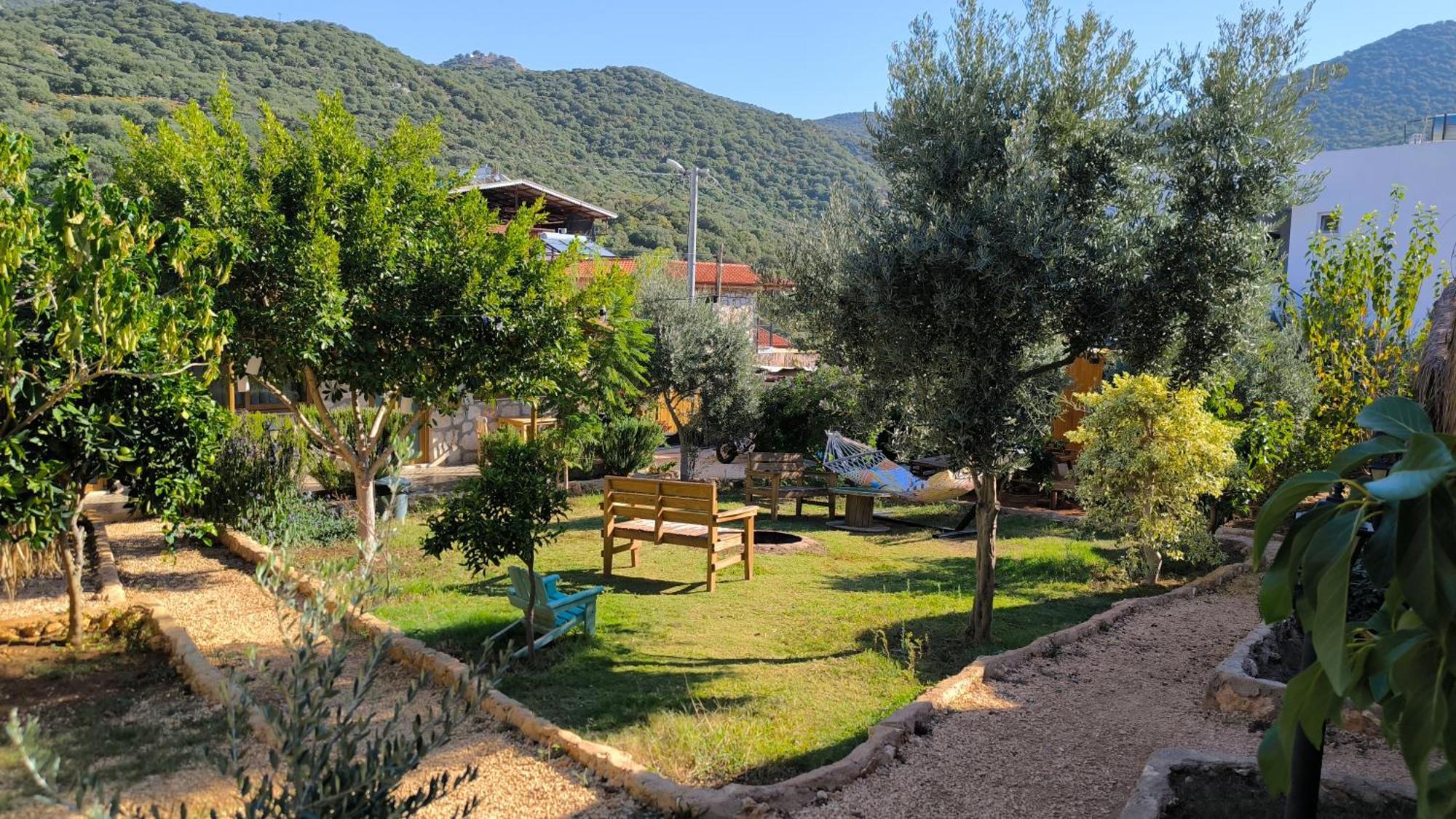 Kas Joy Glamping Hotel Ngoại thất bức ảnh