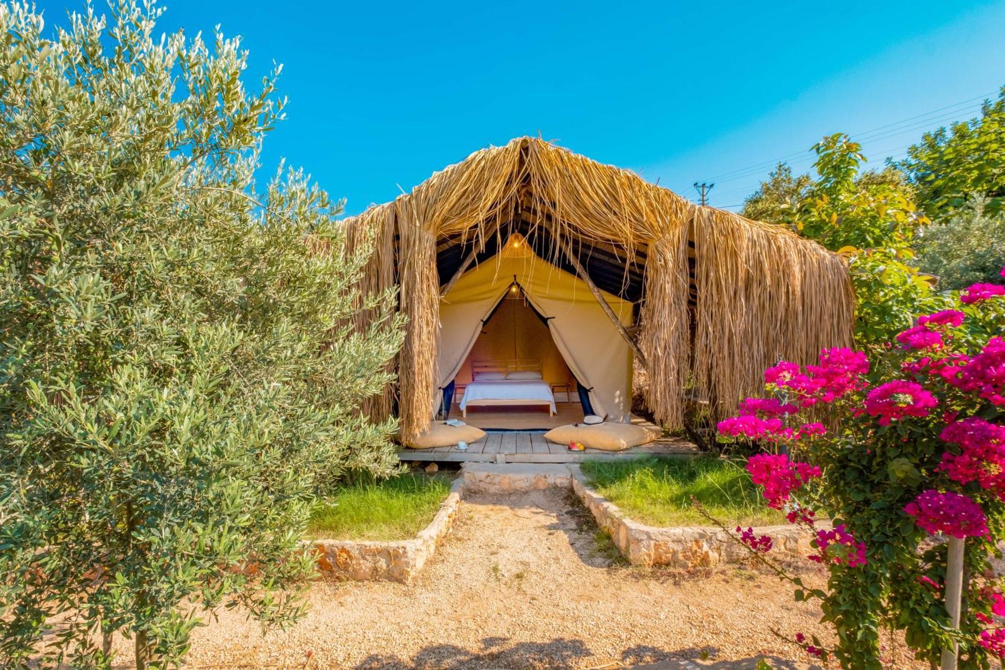Kas Joy Glamping Hotel Ngoại thất bức ảnh